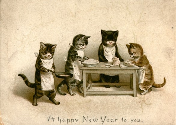Cat Cooks