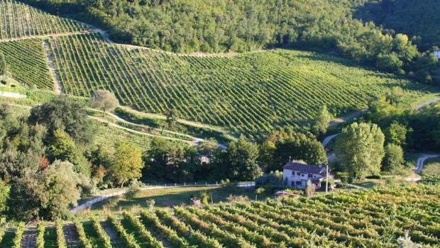 L'Umbria tra le 10 migliori regioni del mondo per l'enoturismo