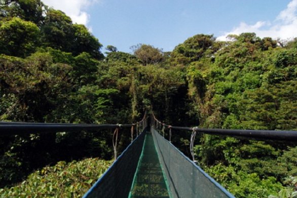 Sky Walk - Costa Rica