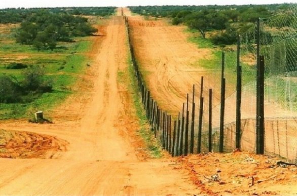 Viaggio in Australia: dieci curiosità e informazioni sul Paese