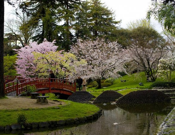I giardini del museo albert kahn di parigi Giardini giapponesi in italia
