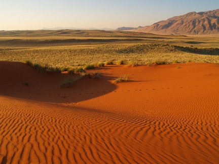 Mal d’Africa: in Namibia e Kenya turismo alla riscossa