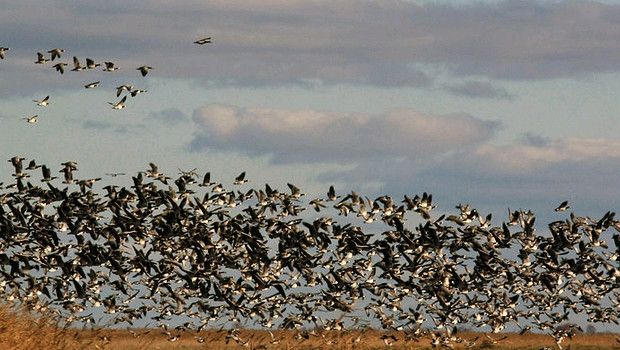 Fuori dalle mura Tallin, immersi nella natura dell’Estonia