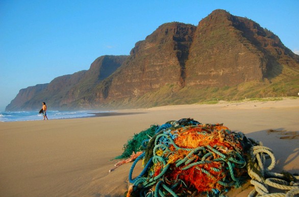 La Natura Selvaggia Delle Hawaii Sullisola Di Kauai