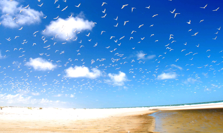 Record Del Mondo La Spiaggia Più Lunga