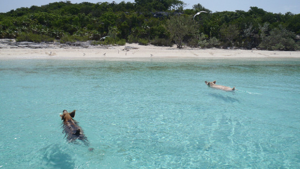 Bahamas spiaggia