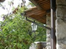 Agriturismo Borgo Corsignano a Poppi (Ar)