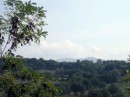 Agriturismo Borgo Corsignano a Poppi (Ar)