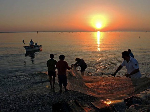 Festa della tratta all'alba