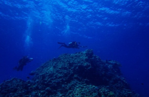 Sharm el Sheik immersioni