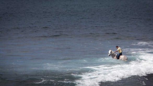 Tenerife Spiagge Cosa Vedere